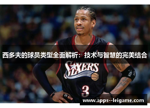 西多夫的球员类型全面解析：技术与智慧的完美结合