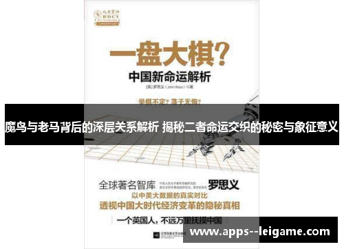 魔鸟与老马背后的深层关系解析 揭秘二者命运交织的秘密与象征意义