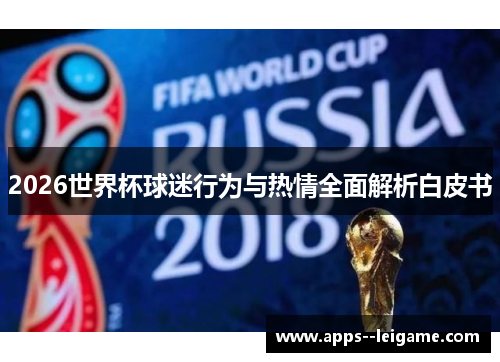 2026世界杯球迷行为与热情全面解析白皮书