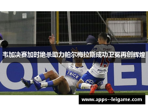 韦加决赛加时绝杀助力帕尔梅拉斯成功卫冕再创辉煌